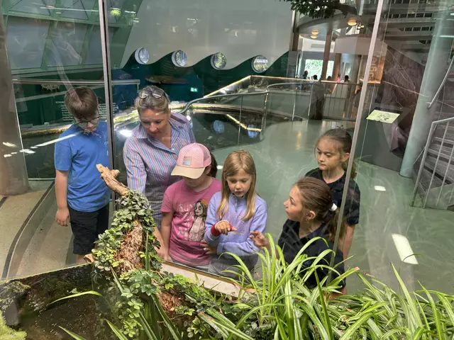 Landesrätin Susanne Rosenkranz erkundet gemeinsam mit den Schülerinnen und Schülern der Mary Ward Schule Krems die Welt der Amphibien in der Ausstellung des Museums Niederösterreich. | Foto: Caroline Fegerl
