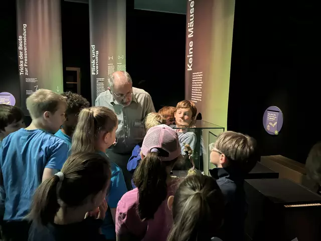 Foto: Caroline Fegerl