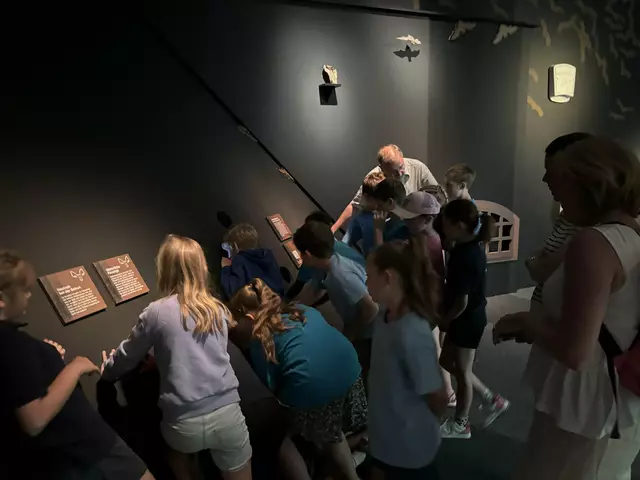 Foto: Caroline Fegerl