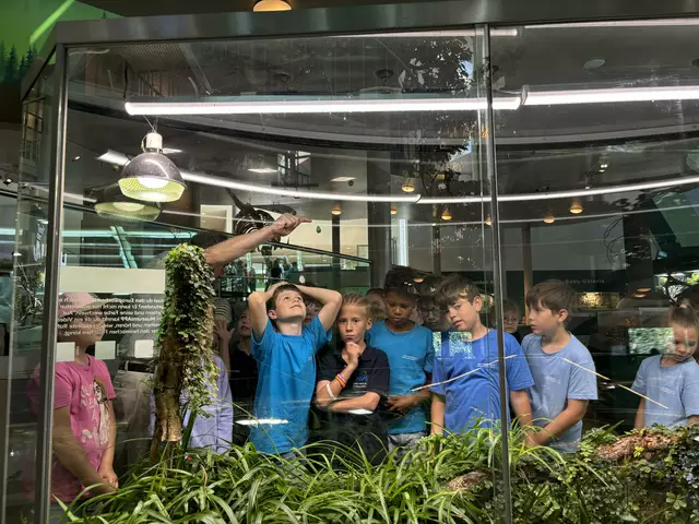 Foto: Caroline Fegerl