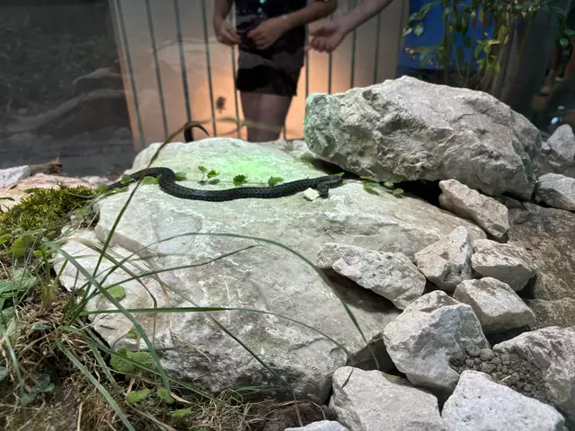 Foto: Caroline Fegerl