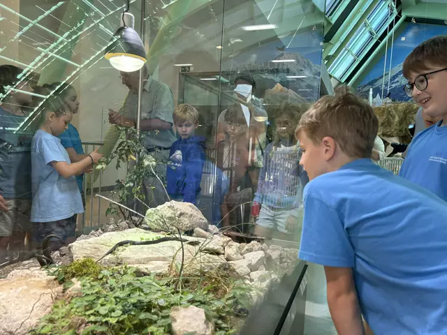 Foto: Caroline Fegerl