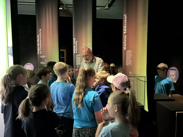 Foto: Caroline Fegerl