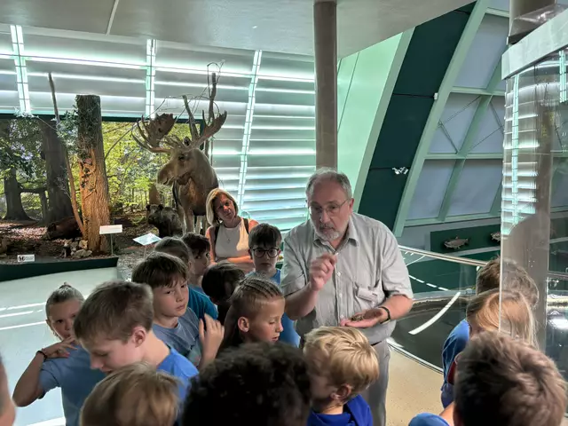 Foto: Caroline Fegerl