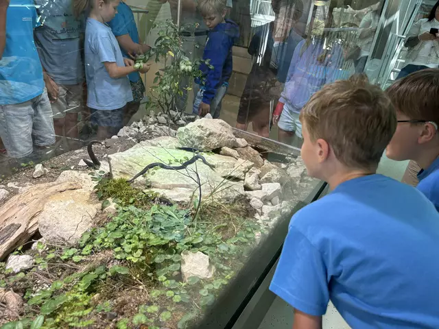 Foto: Caroline Fegerl