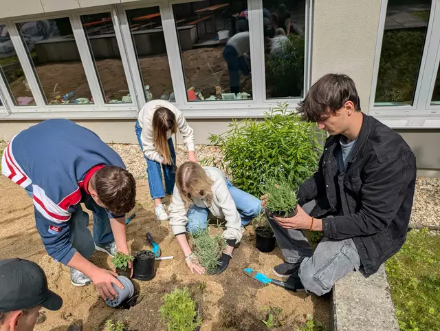 Das Dach eines Nebengebäudes wurde zu einem Lebensraum für zahlreiche Kräuter. | Foto: Klimabündnis