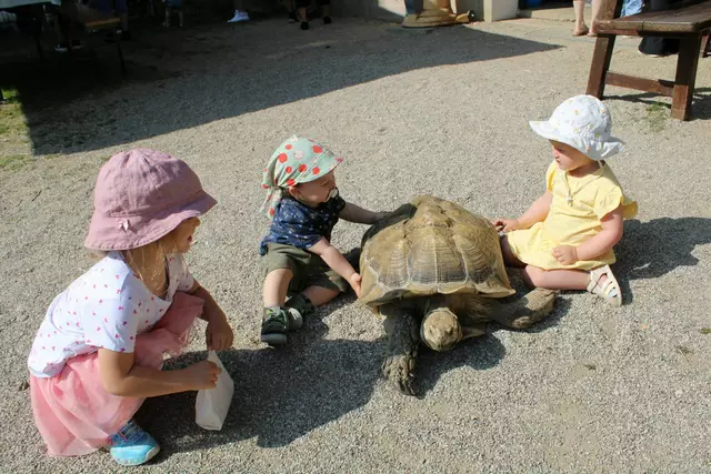 Die Kinder hatten sichtlich Freude beim Besuch des Streichelzoos.  | Foto: Kita Sternenglück