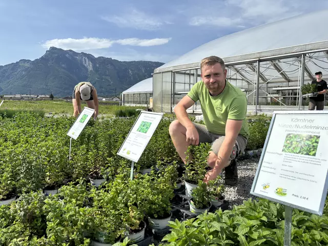Tobias Winklhofer im Kräutergarten vor dem Gewächshaus. | Foto: Simon Haslauer