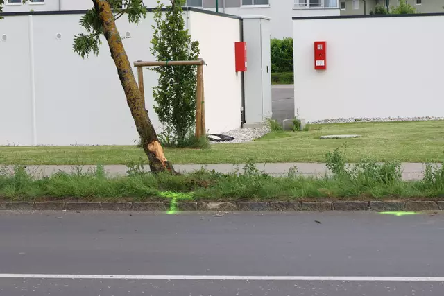 Roter Suzuki kracht nach Crash mit einem anderen Pkw auf der Oberfeldstraße in Wels-Vogelweide gegen einen Baum. | Foto: laumat.at