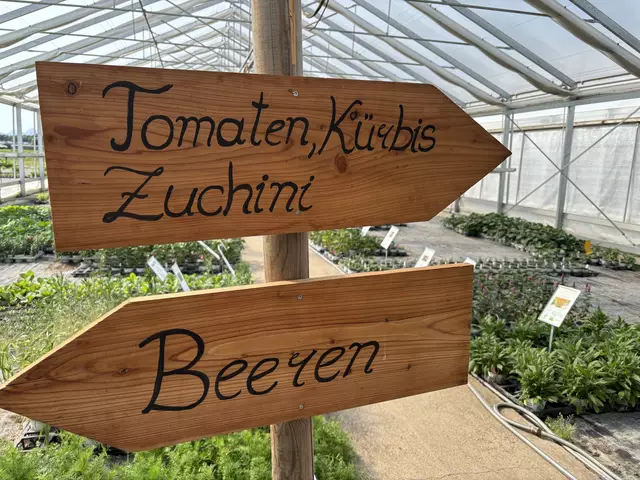 Foto: Simon Haslauer