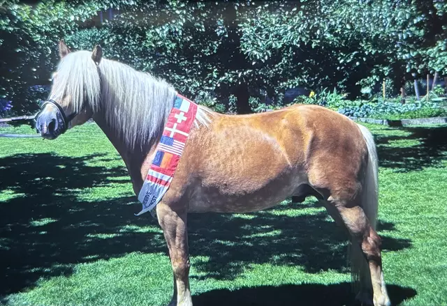 Foto: Celina Leitner / Archiv