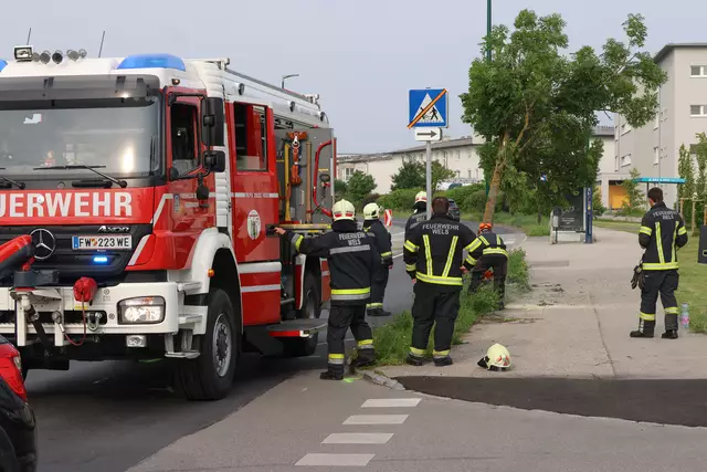 Roter Suzuki kracht nach Crash mit einem anderen Pkw auf der Oberfeldstraße in Wels-Vogelweide gegen einen Baum. | Foto: laumat.at