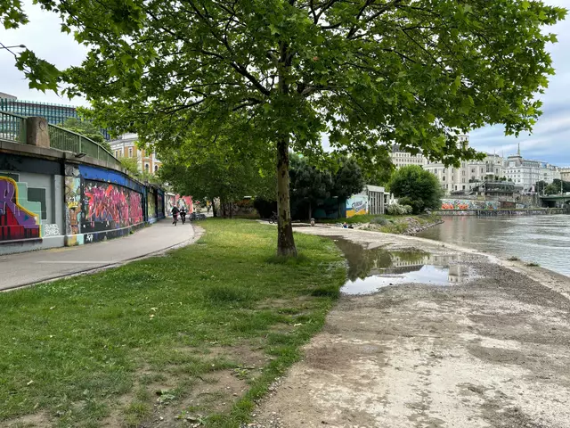 Der Bezirksvorsteher hofft, den natürlichen Zustand bewahren zu können.  | Foto: Nathanael Peterlini/MeinBezirk