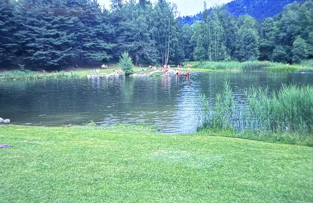 Foto: Celina Leitner / Archiv