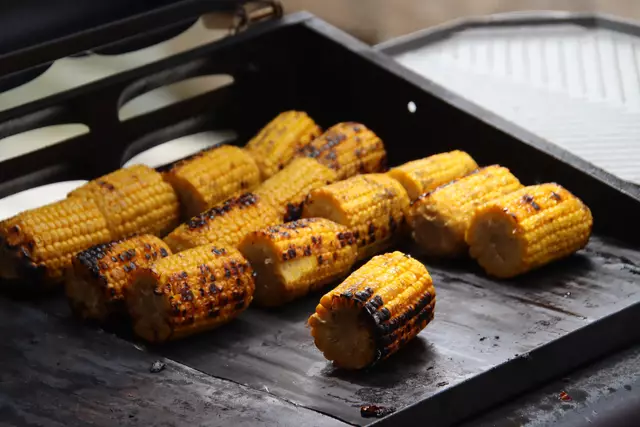 Foto: Martin Wurglits