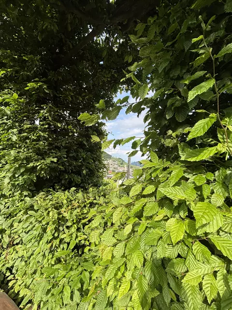 Foto: MeinBezirk