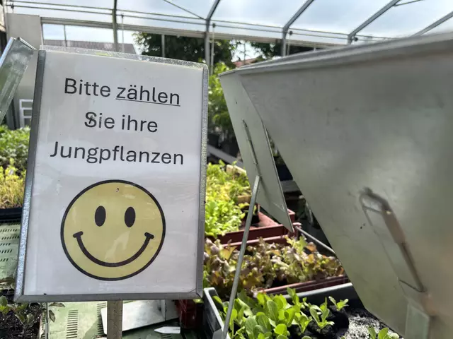 Foto: Simon Haslauer