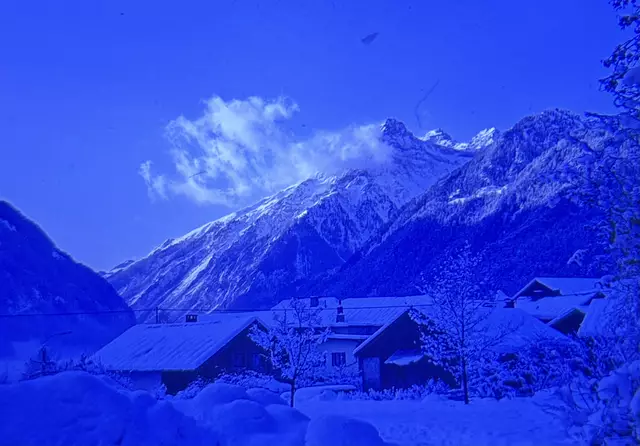 Foto: Celina Leitner / Archiv