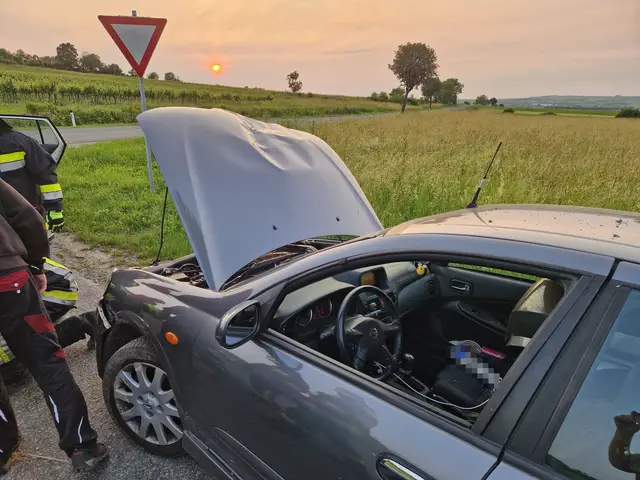 Am Abend des 9. Juni kam ein Pkw-Lenker ins Schleudern und geriet mit seinem Fahrzeug in den Straßengraben.  | Foto: DOKU-NÖ