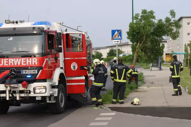 Roter Suzuki kracht nach Crash mit einem anderen Pkw auf der Oberfeldstraße in Wels-Vogelweide gegen einen Baum. | Foto: laumat.at