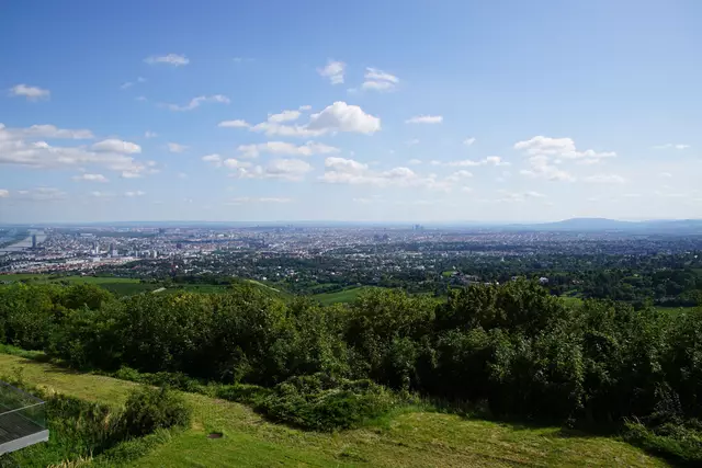 Vom Kahlenberg aus hat man einen Ausblick über fast ganz Wien. (Archiv) | Foto: Alois Fischer