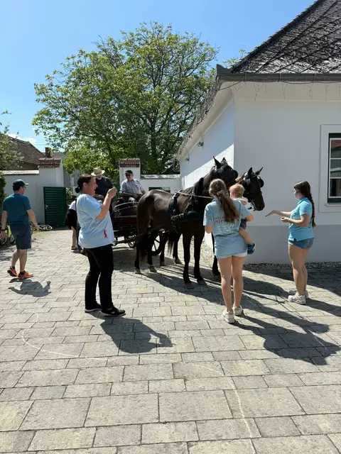 Ernsti Buczolich stellte sich mit seinen Pferden zur Verfügung | Foto: MIM