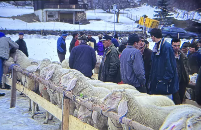 Foto: Celina Leitner / Archiv