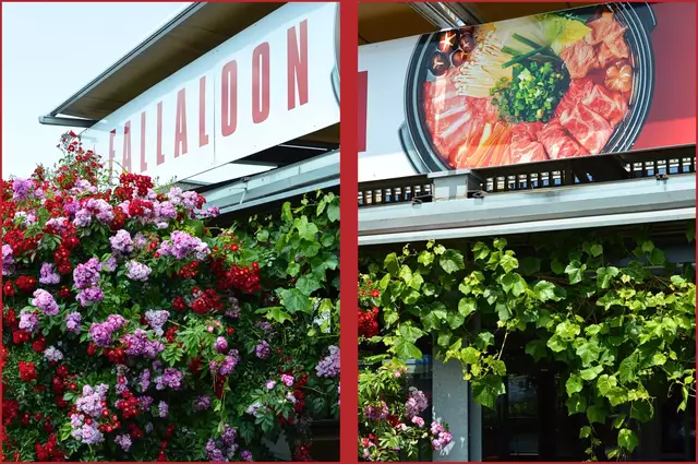 Foto: Fallaloon