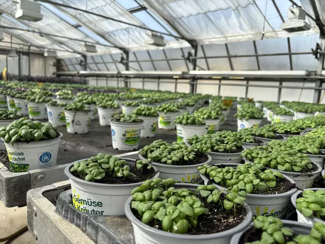 Foto: Simon Haslauer