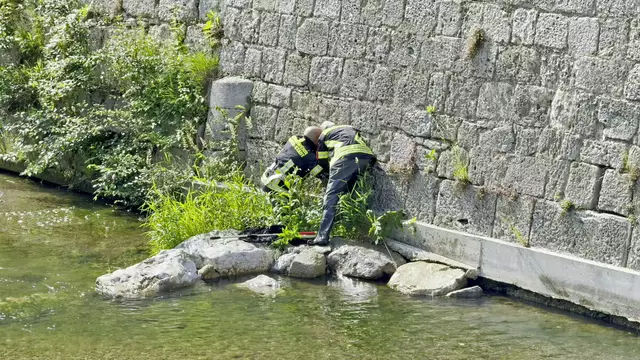 Am Vormittag wurde die Freiwillige Feuerwehr Baden-Stadt zu einer Tierrettung an die Schwechat beim Pergersteg alarmiert. | Foto: Freiwillige Feuerwehr Baden-Stadt