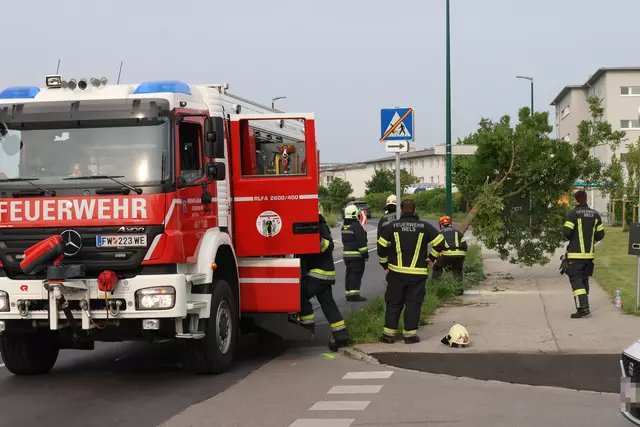 Roter Suzuki kracht nach Crash mit einem anderen Pkw auf der Oberfeldstraße in Wels-Vogelweide gegen einen Baum. | Foto: laumat.at