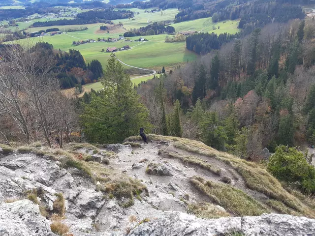 Ein 33-Jähriger stürzte Dienstagabend in der Nocksteinschlucuht und wurde dabei verletzt. Die Bergrettung Salzburg war im Einsatz. (Symbolbild) | Foto: Philip Steiner