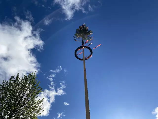 Maibaumaufstellen - ein traditionelles Ereignis, das jedes Jahr mit großer Begeisterung und Vorfreude erwartet wird. | Foto: meinbezirk.at/lungau