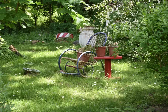 Foto: Alexandra Goll