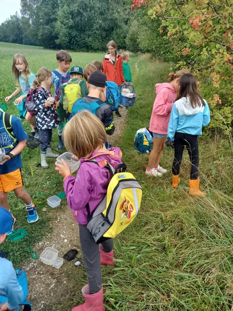 Die Gschwandter Kinder nahmen im Vorjahr Wassertiere unter die Lupe.
 | Foto: Gemeinde Gschwandt