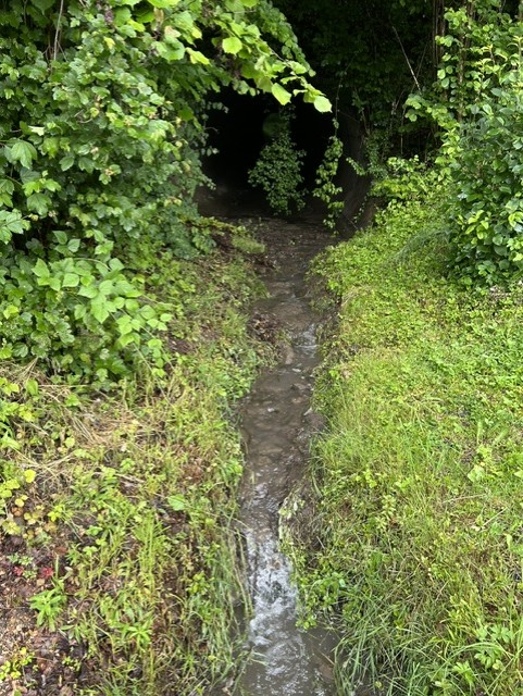 Die Voestalpine Stahl Donawitz leitet im Bereich des Katharinenwegs Oberflächenwässer im Rahmen einer erteilten Bewilligung über das bestehende Gerinne ab. | Foto: Walter Reiter