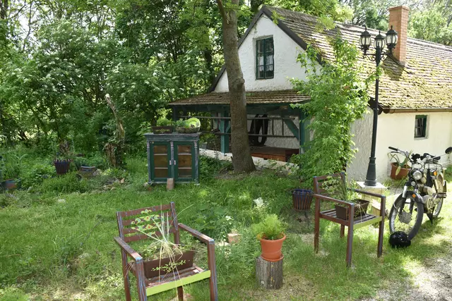 Foto: Alexandra Goll