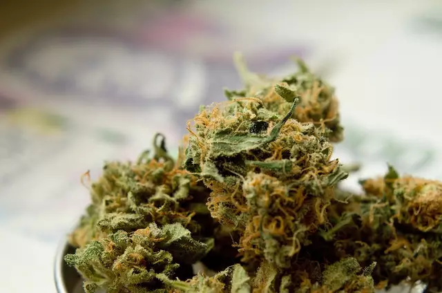 Etwa 44 Gramm Cannabiskraut, geringe Mengen an Kokain sowie Suchtmittelutensilien fanden die Beamten in der Wohnung der 22-Jährigen an. (Symbolbild) | Foto: pixabay.com