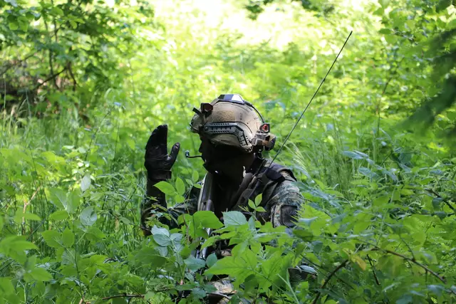 2.100 Soldaten aus acht Nationen werden an der Ausbildungsübung teilnehmen. | Foto: HBF/Gunter Pusch; ÖBH/Manfred Raunegger