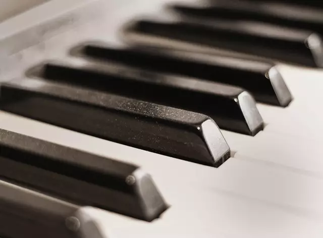 Auf dem Klavier wurde Johannes Dietl von Ana Cosme begleitet. | Foto: Symbolbild: pixabay