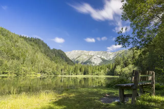 Was tut sich in Turnau, Aflenz, Thörl und Mariazell und welches Angebot gibt es hier? Im MeinBezirk Aktionsblatt’l gibt es die Antworten. | Foto: Meieregger Photos