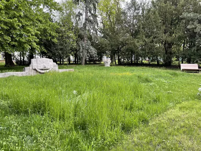 Kaum etwas lässt anmuten, dass sich hier einmal eine prunkvolle Villa befunden und eine Familie gelebt hat. Einzig ein alter, vom Verfall bedrohter Zierbrunnen ist übrig geblieben. | Foto: Lisa Kammann