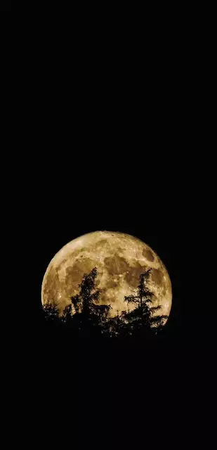 Foto: Michael Wagner