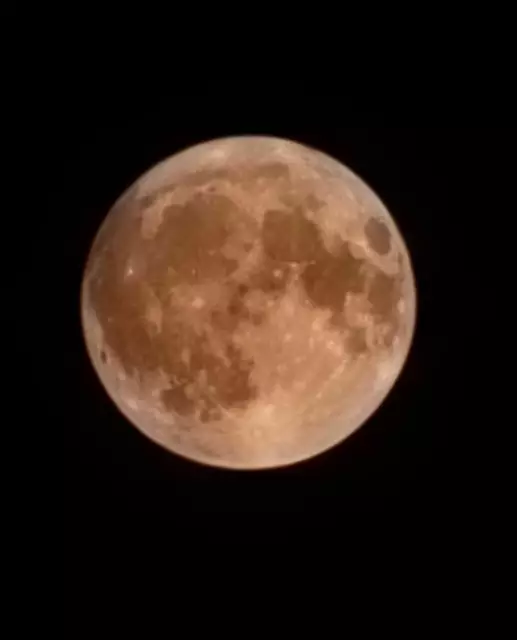 Foto: Sandra Kloibhofer