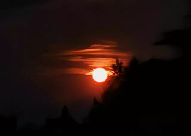 Foto: Susanne Gärtner