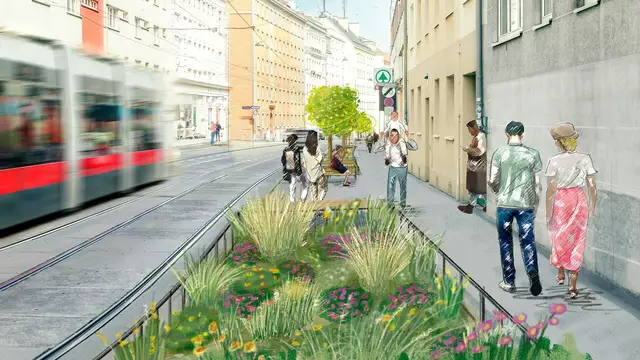 Mit den Maßnahmen gegen Falschparker soll auch mehr Grün in der Camillo-Sitte-Gasse platz finden. | Foto: message
