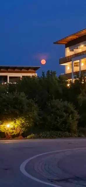 Foto: Bernhard Praher