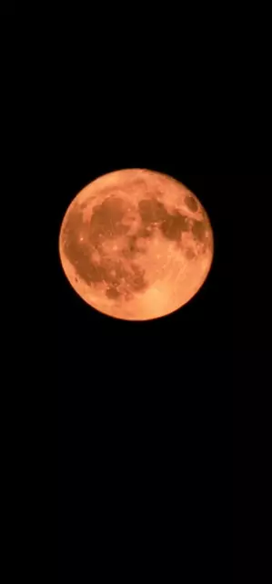 Foto: Melanie Rosensteiner