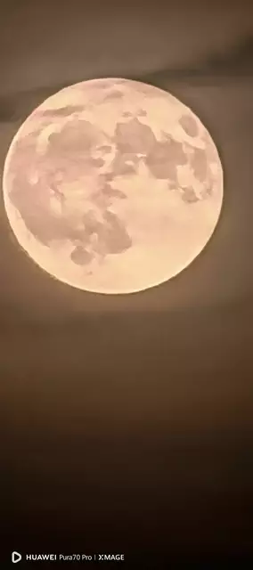 Foto: Viktor Dimitriov