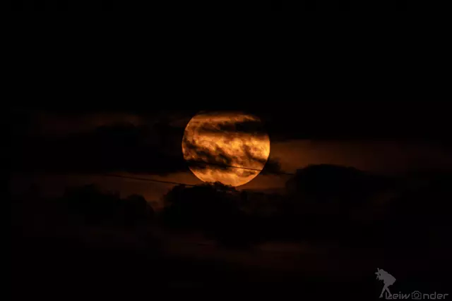 Der Name "Erdbeermond" stammt von nordamerikanischen Ureinwohnern.